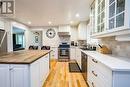 55 Larwood Boulevard, Toronto, ON  - Indoor Photo Showing Kitchen With Upgraded Kitchen 