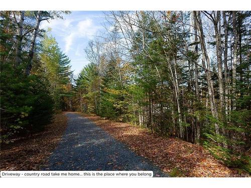 7415 Route 101, Wirral, NB 