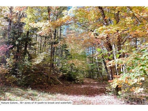 7415 Route 101, Wirral, NB 