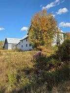 1294 105 RTE  Southampton, NB E6G 1L5