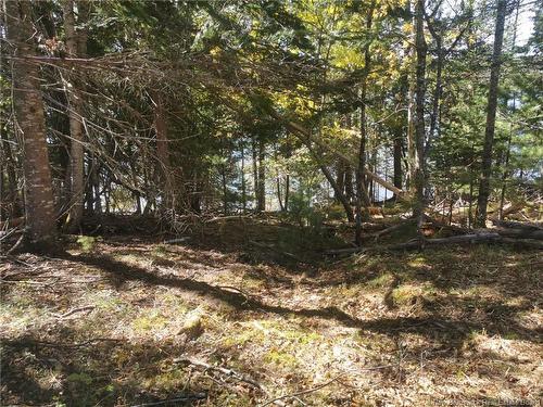 32 Moran Lane, Dufferin, NB 