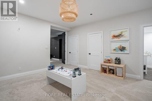 Bonus Area - Basement - 2439 Garrison Road, Fort Erie (Ridgeway), ON - Indoor