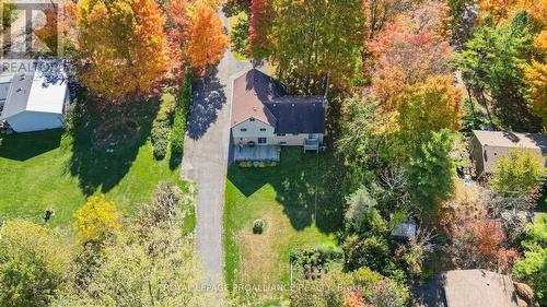 16276 Telephone Road, Brighton, ON - Outdoor With View