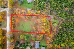 447233 10TH CONCESSION  Grey Highlands, ON N0C 1E0