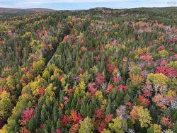 Lot 1 Highway 316  Country Harbour Mines, NS B0H 1J0