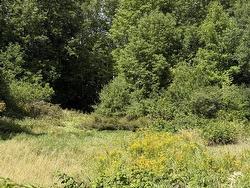 1,2 Lots 1 and 2 MAHONEY'S BEACH  Mahoneys Beach, NS B2G 2L2