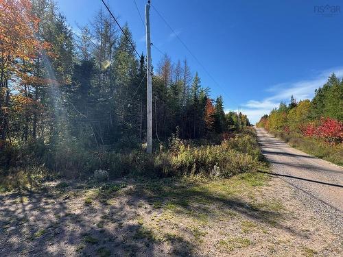 Helmuts Lane, Cleveland, NS 
