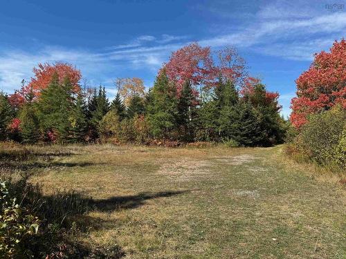 Helmuts Lane, Cleveland, NS 
