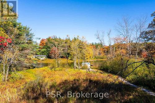 1194 Muskoka Road 38, Muskoka Lakes (Wood (Muskoka Lakes)), ON 