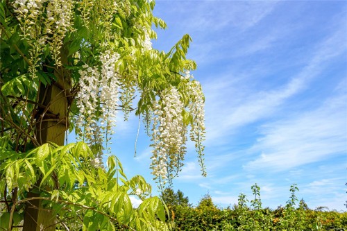 4689 Boulderwood Dr, Saanich, BC 