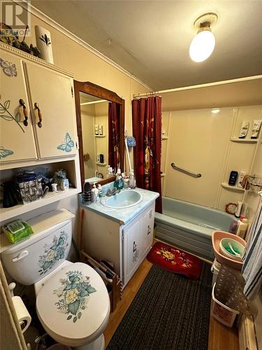 2 Philpotts Road, Botwood, NL - Indoor Photo Showing Bathroom
