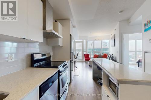 2003 - 51 East Liberty Street, Toronto, ON - Indoor Photo Showing Kitchen With Stainless Steel Kitchen With Upgraded Kitchen