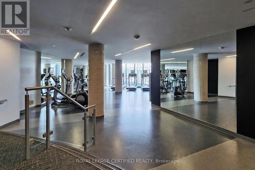 2003 - 51 East Liberty Street, Toronto, ON - Indoor Photo Showing Gym Room