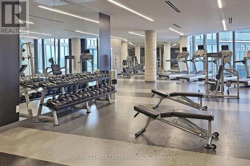 2003 - 51 East Liberty Street, Toronto, ON - Indoor Photo Showing Gym Room