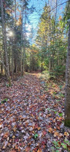 Boisé - Ch. Des Monts, Chertsey, QC 