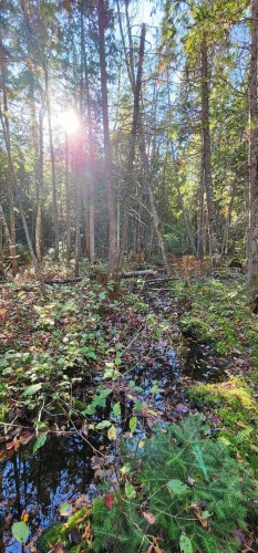 Boisé - Ch. Des Monts, Chertsey, QC 
