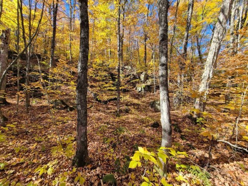 Boisé - Ch. Des Monts, Chertsey, QC 