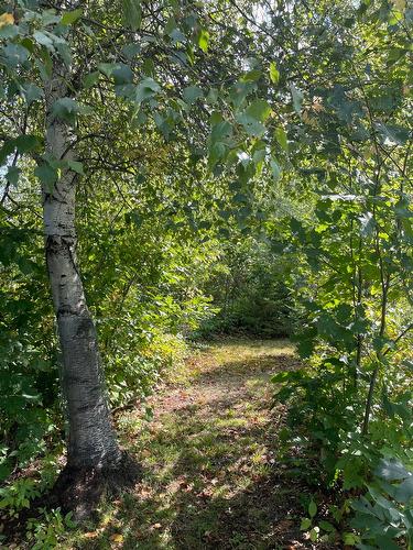 Land/Lot - 4100 6E Rang, Saint-Calixte, QC 