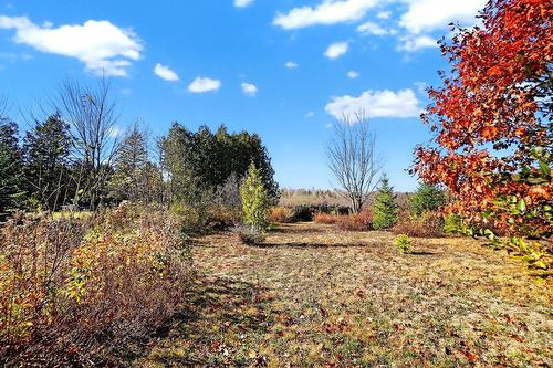 Terre/Terrain - 4100 6E Rang, Saint-Calixte, QC 