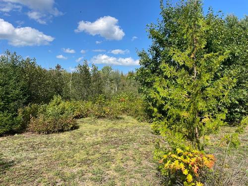 Land/Lot - 4100 6E Rang, Saint-Calixte, QC 