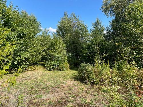 Land/Lot - 4100 6E Rang, Saint-Calixte, QC 