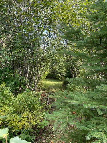 Land/Lot - 4100 6E Rang, Saint-Calixte, QC 