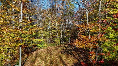 Exterior - 91 Rue Meunier, Eastman, QC - Outdoor