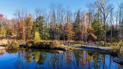 Access to a body of water - 91 Rue Meunier, Eastman, QC - Outdoor With View
