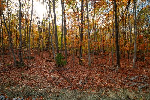 Overall view - Rue Des Faucons, Prévost, QC 