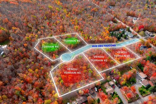 Drawing (sketch) - Rue Des Faucons, Prévost, QC 