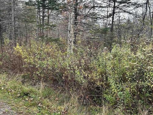 Lot 8 Guysborough Road, St Andrew'S, NS 