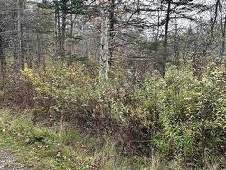 Lot 8 Guysborough Road  St Andrew's, NS B0H 1X0
