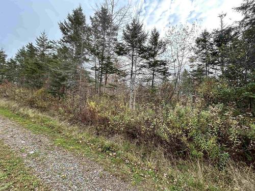 Lot 8 Guysborough Road, St Andrew'S, NS 