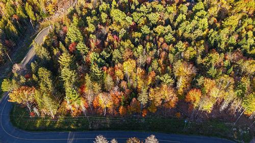 Photo aérienne - Ch. Des Albatros, Piedmont, QC 