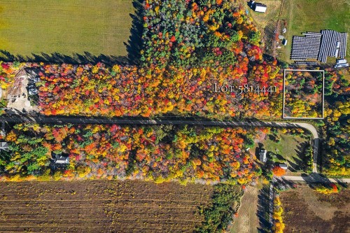 Photo aérienne - 704 Ch. Robinson, Pontiac, QC 