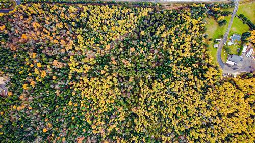 Vue d'ensemble - Route 117, Mont-Blanc, QC 