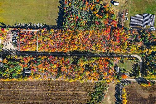 Photo aérienne - 728 Ch. Robinson, Pontiac, QC 