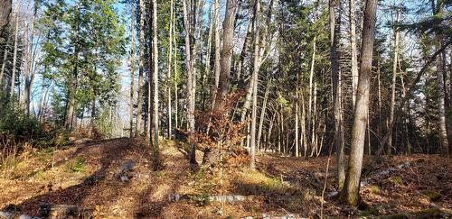 Land/Lot - 9E Rang, Saint-Côme, QC 