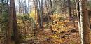 Land/Lot - 9E Rang, Saint-Côme, QC 