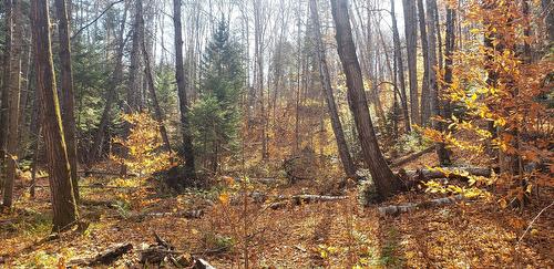 Land/Lot - 9E Rang, Saint-Côme, QC 