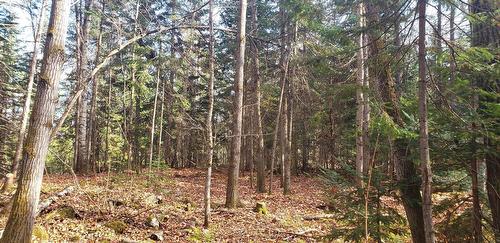 Land/Lot - 9E Rang, Saint-Côme, QC 
