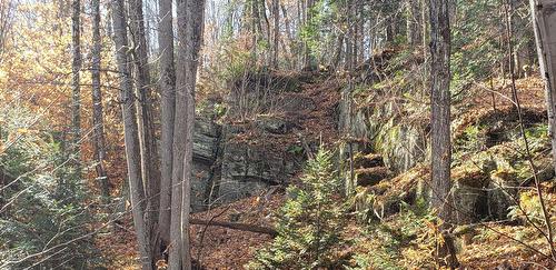 Autre - 9E Rang, Saint-Côme, QC 