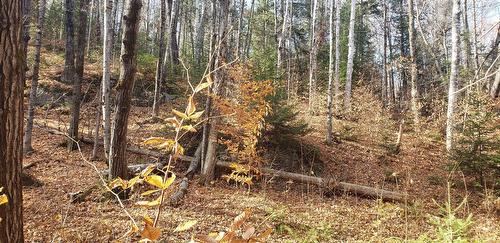 Boisé - 9E Rang, Saint-Côme, QC 