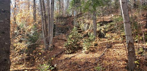 Terre/Terrain - 9E Rang, Saint-Côme, QC 