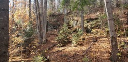 Terre/Terrain - 