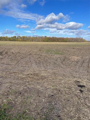 SE25-8-8W - 0 48 Road N, St Claude, MB 