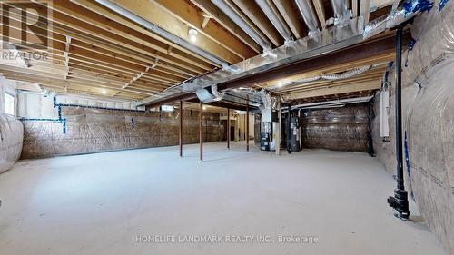 119 Hawkins Street, Georgina, ON - Indoor Photo Showing Basement