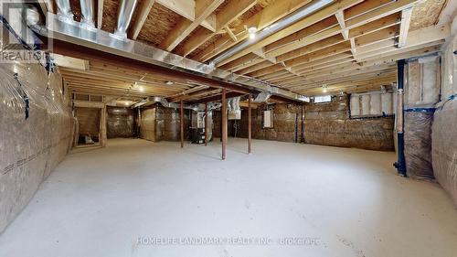 119 Hawkins Street, Georgina, ON - Indoor Photo Showing Basement