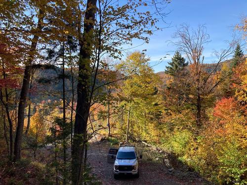 Terre/Terrain - Ch. De L'Orignal, Sainte-Thècle, QC 