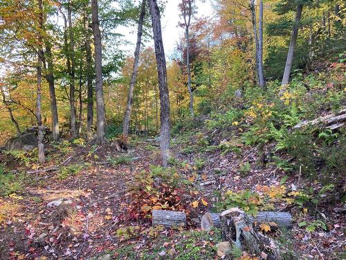 Terre/Terrain - Ch. De L'Orignal, Sainte-Thècle, QC 